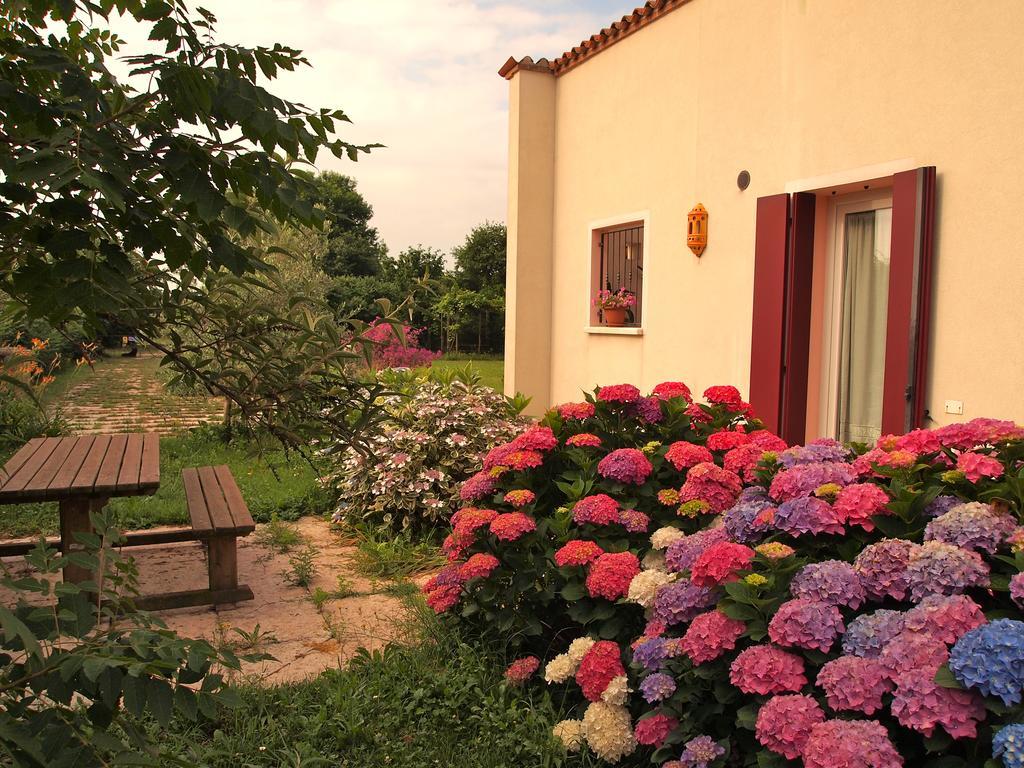Agriturismo Il Magicorto Cassola Zimmer foto