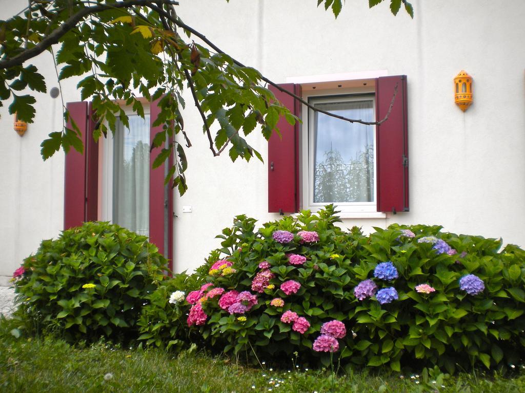 Agriturismo Il Magicorto Cassola Zimmer foto